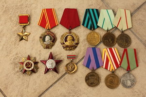 Комплект муляжей ГСС Красилова А.П.