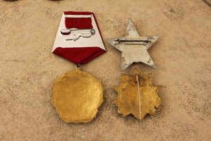 Комплект муляжей ГСС Красилова А.П.