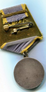 13 значков (отличники СС, союзы..)