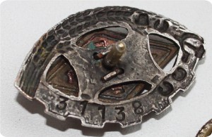 13 значков (отличники СС, союзы..)