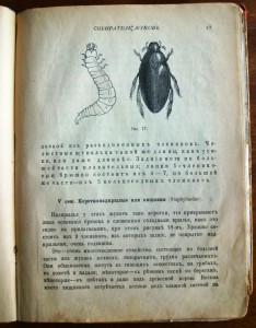 КЗ 144т. бои за Средний Дон.