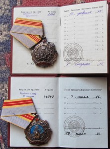 Трудовая слава 2 и 3 ст.