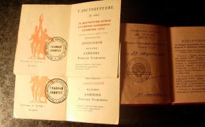 Документ на Нечерноземье. 1989 год