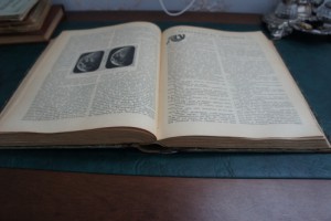 Годовой комплект на 1911