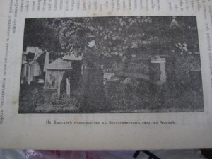 книга пчеловодство 1907 год