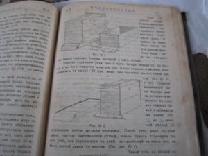 книга пчеловодство 1907 год