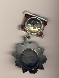 Ушаков на доке 91 год+ежик на доке