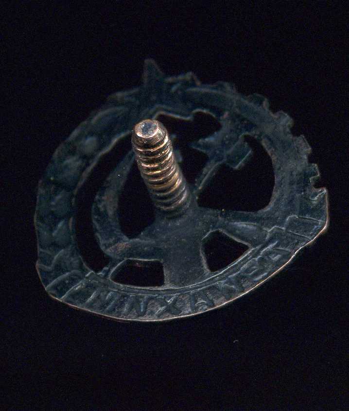 Знак "АВИАХИМ" 1925 года.