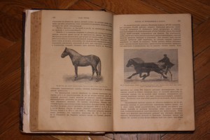 Князь С.П.Урусов " Книга о лошади" 1911г. т.I
