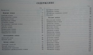 Ротная печать стрелкового полка.