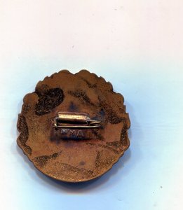 За освоение Голодной степи,ЦК ВЛКСМ