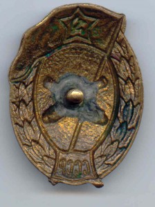 Желательно Ваше мнение!