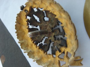 СПБ Лесной-технический институт