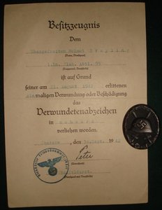 "Крым" LW + черное ранение (комплект с документами)