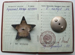 Красная Звезда №32495283 на доке(Пегов)