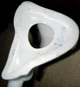 Эскимос с лайкой (Городница)