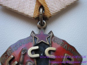 Комплект,Медали:2шт "За освоение целинных земель";"100лет...