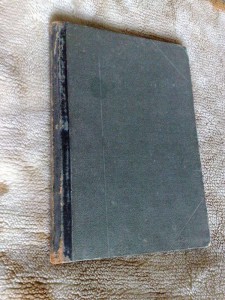 Происхождение наших домашних животных 1913