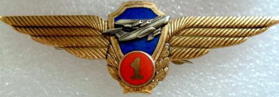 Куплю знаки классности.