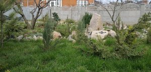 САД, ПАРК, ОГОРОД - КРАСОТА.