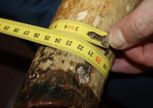 Талер 1602 год. Провинция Зеландия ...