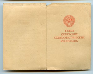 ОВ 1 ст. 24084 (летчик-штурмовик ИЛ-2)