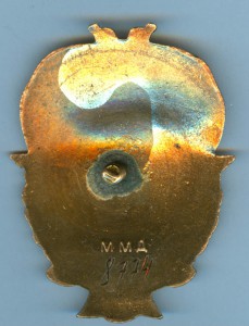 Отличник аэрофлота с документом