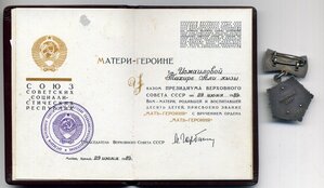 Мать Героиня с Большй и Малой грам Горбачевская в синей папк