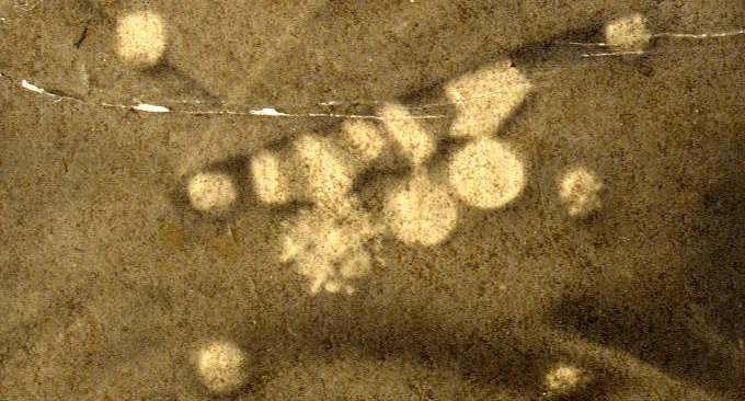 фото чиновников с наградами