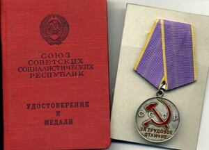 Трудовое Отличие с Доком 1966 г