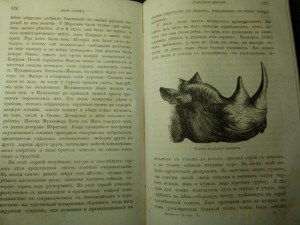 Книги разные.