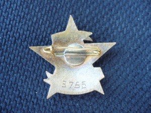 Отличник санитарной обороны на заколке (№ 3765)