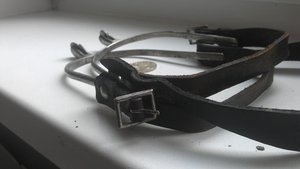 Шпоры до военные