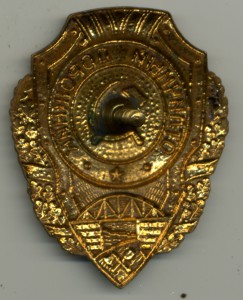 Отличный ДОРОЖНИК (8 знаков)