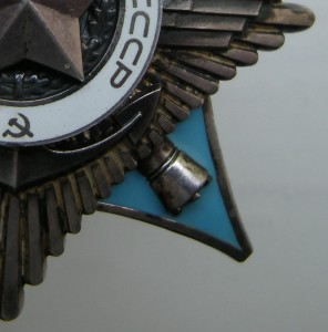 За службу Родине