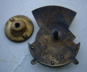 Отличник Здровохранения накладной