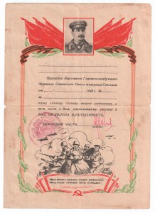 5 благодарностей сержанта