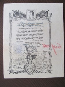 15 благодарностей ВГК.