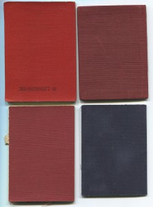 Участник Парада - ОВ 1ст, КЗ, БЗ