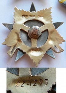 Участник Парада - ОВ 1ст, КЗ, БЗ