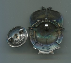 Отличник Аэрофлота,серебро.