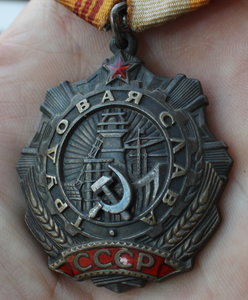 Трудовая слава 3 ст - 3100
