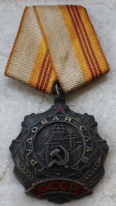 Трудовая слава 3 ст - 3100