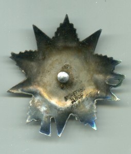 ОВ 2 ст. 598455 (уменьшенная)