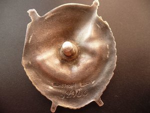 БКЗ винт № 52т.