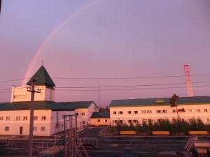 САД, ПАРК, ОГОРОД - КРАСОТА.