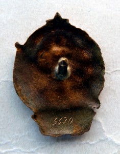 Отличник Финансовой Работы плоский реверс