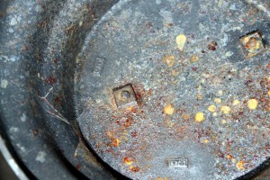 Ленин, Куса