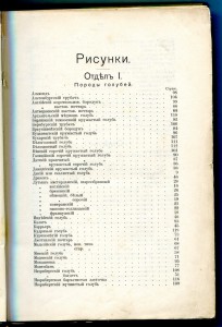 Голубеводство. 1905г.