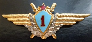 Знак Военный летчик 1 класса.